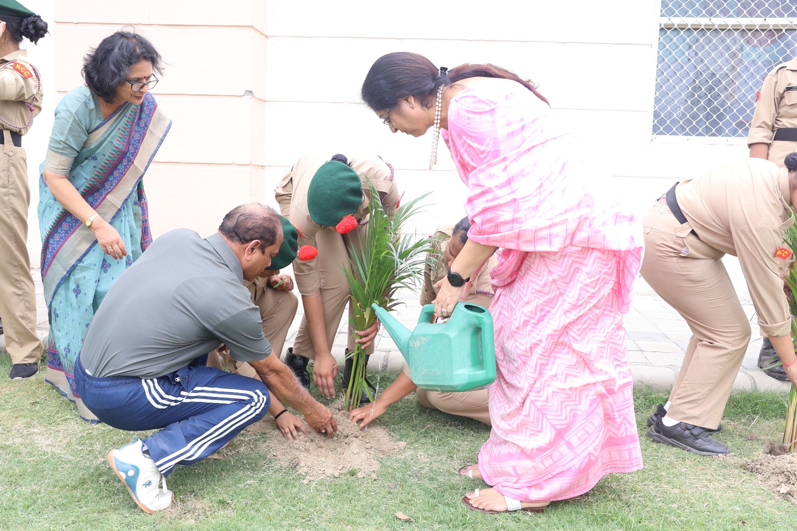 Tree Plantation Drive
